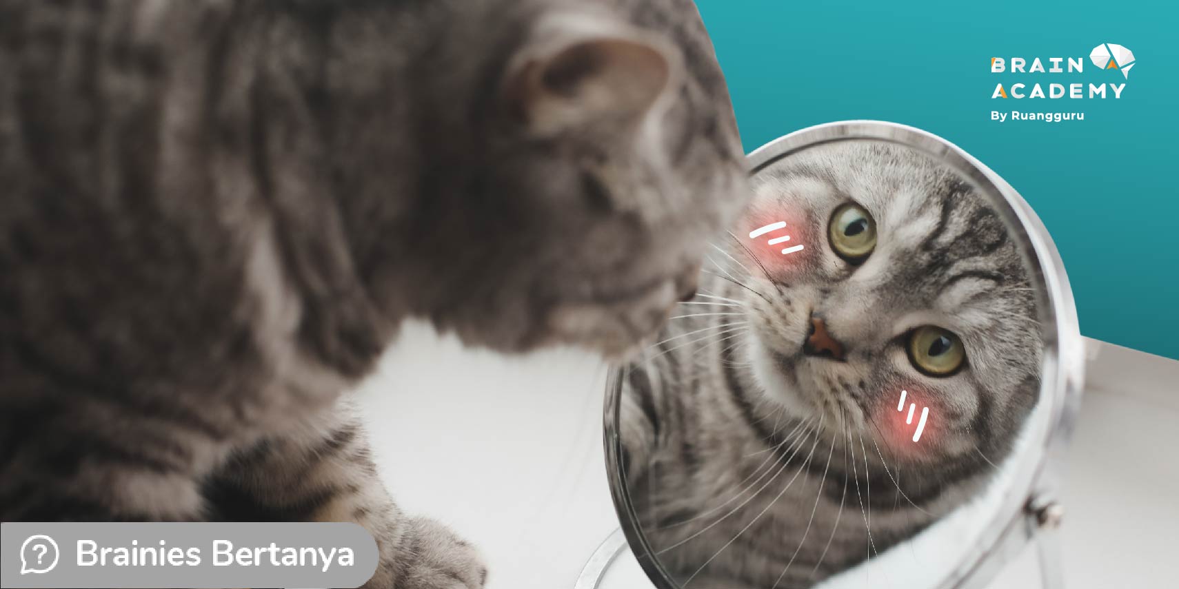 Transformasi Geometri: Pemahaman Konsep & Latihan Soal